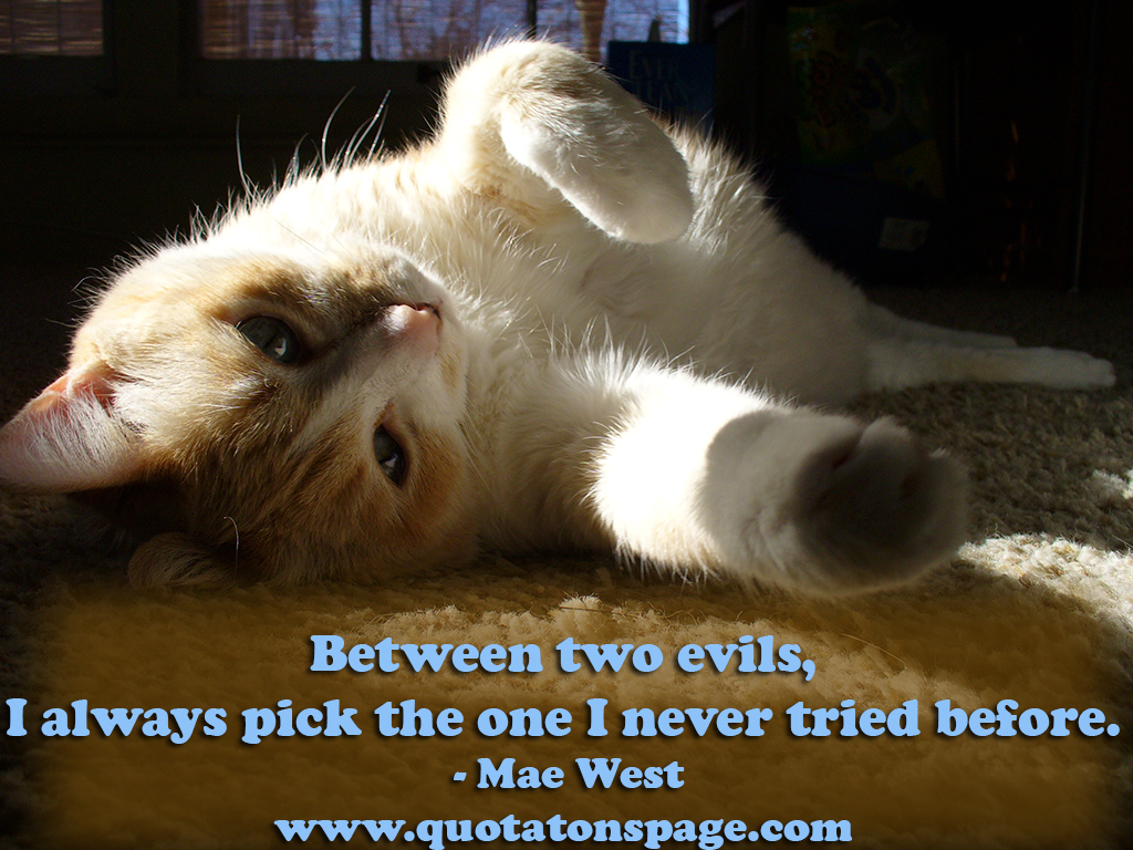 Mae West Quote Bumper Sticker – “When Choosing Between Two Evils…” – 3x10 Inch, Vinyl, UV Resistant - View #9