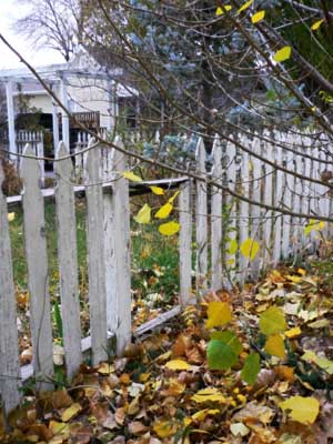 Autumn Fences 2 by Laura Moncur 11-08-05