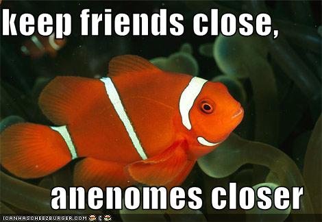 Keep your friends close, anenomes closer.